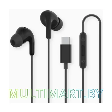 Наушники Xiaomi Type-C Earphones M2413E1 (черный, международная версия)